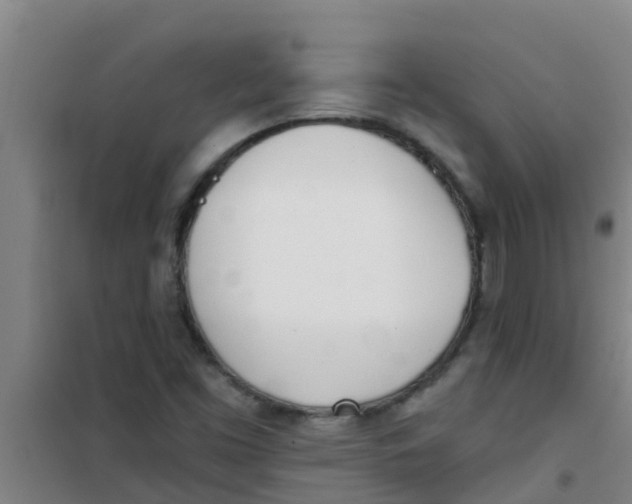 X0000100411453200807032026