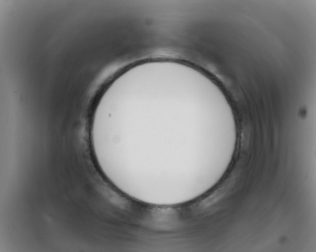 X0000100411454200807032026