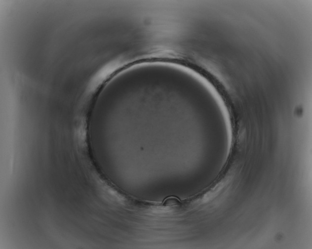 X0000100411455200807032026