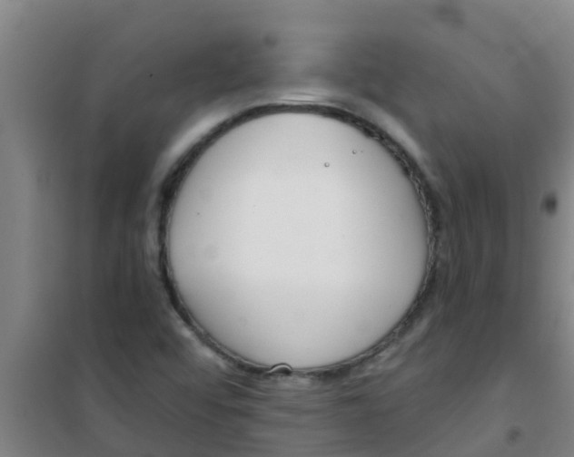 X0000100411456200807032026