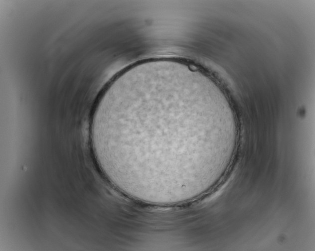 X0000100411457200807032026