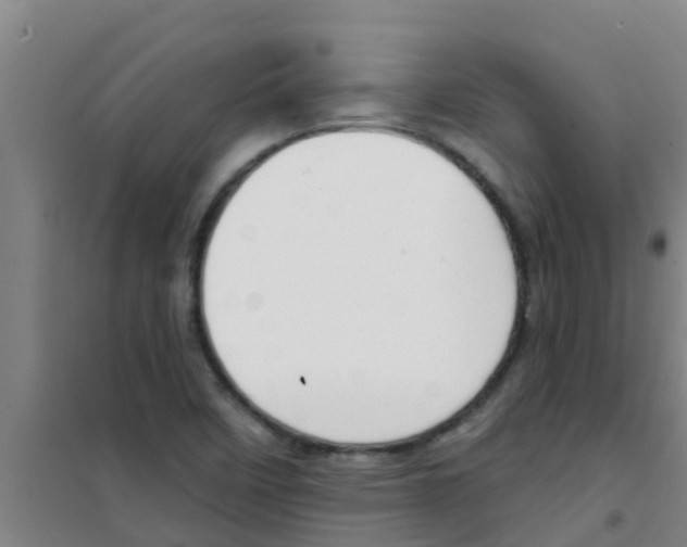 X0000100411458200807032026