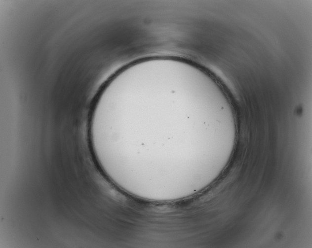 X0000100411460200807032026