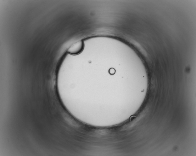 X0000100411461200807032026