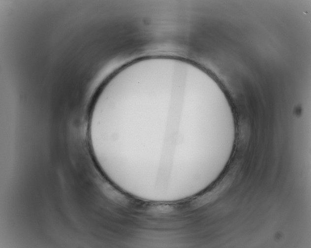 X0000100411462200807032026