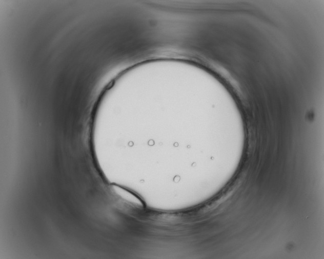 X0000100411463200807032026