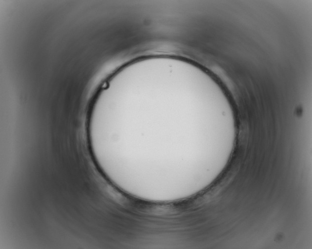 X0000100411464200807032026