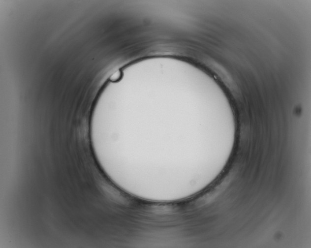 X0000100411465200807032026