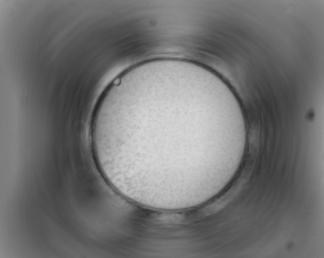 X0000100411466200807032026