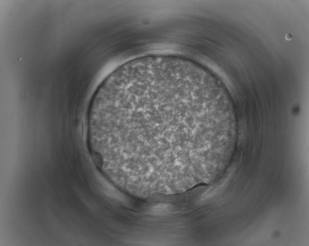 X0000100411467200807032026