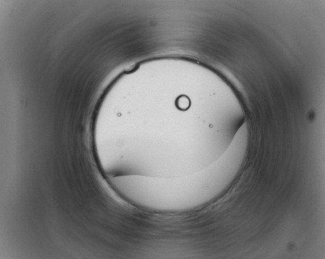 X0000100411468200807032026