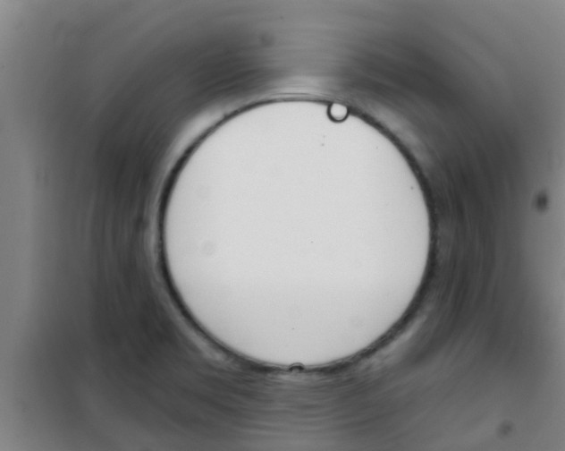 X0000100411469200807032026