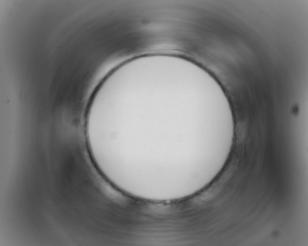 X0000100411470200807032026