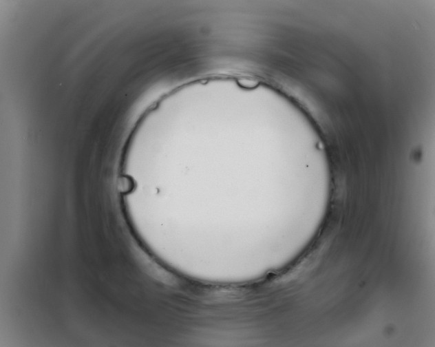 X0000100411471200807032026