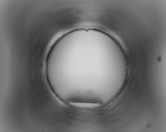 X0000100411472200807032026