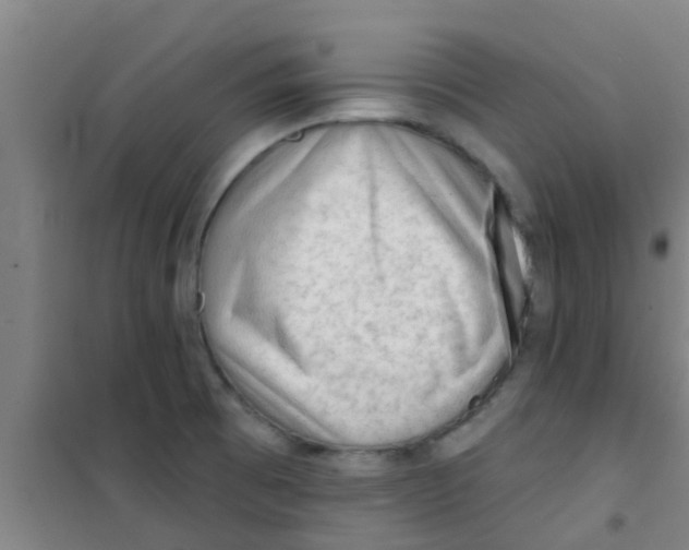 X0000100411473200807032026