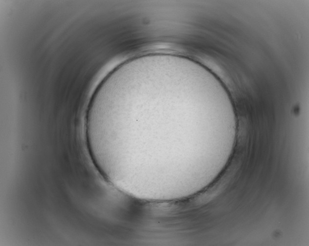 X0000100411474200807032026