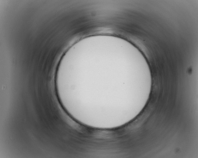 X0000100411475200807032026