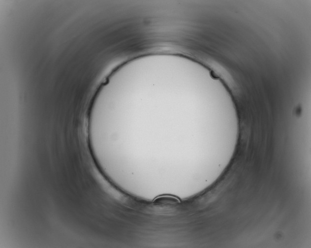 X0000100411476200807032026