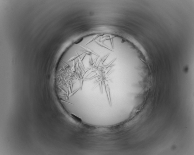 X0000100411477200807032026