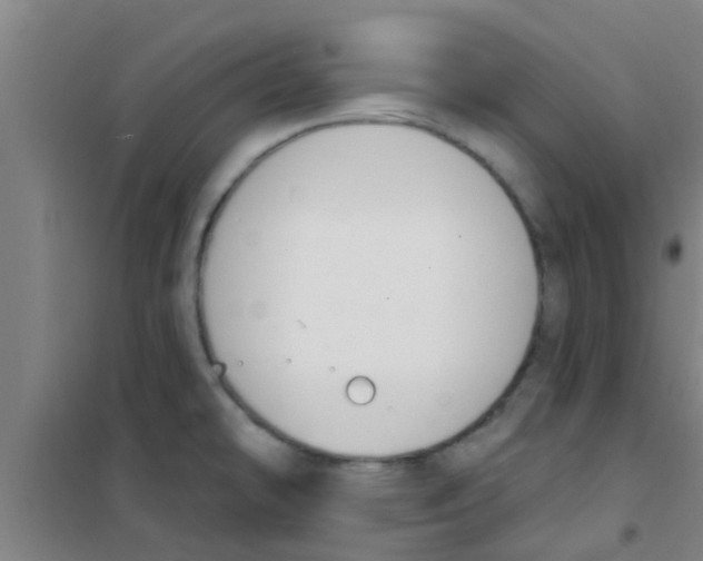 X0000100411478200807032026