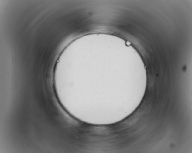 X0000100411479200807032026