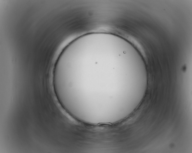 X0000100411480200807032026