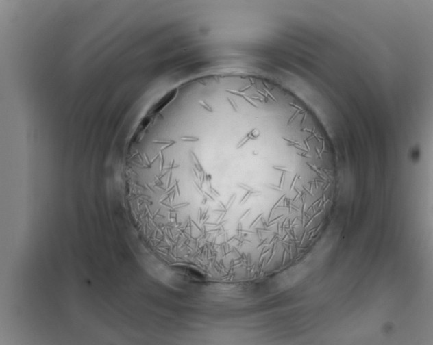 X0000100411481200807032026