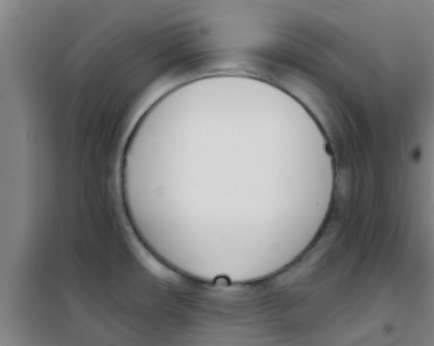 X0000100411482200807032026