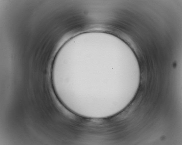 X0000100411483200807032026