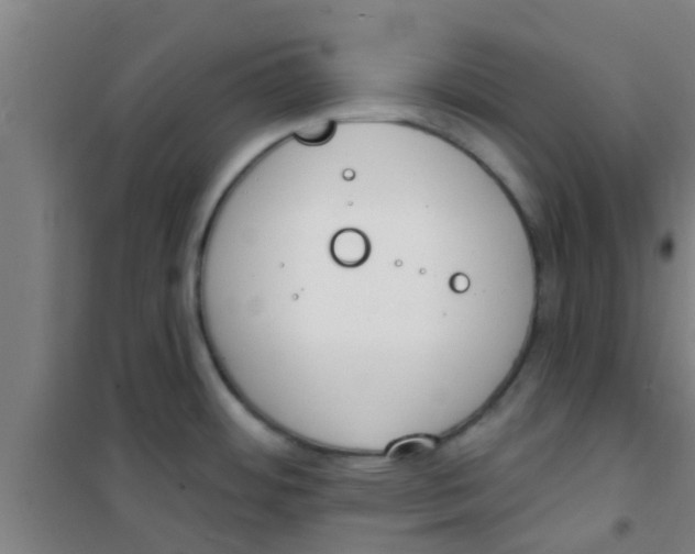 X0000100411484200807032026