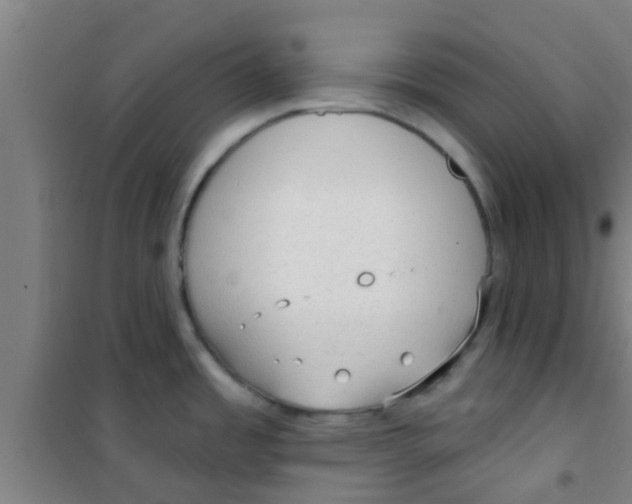 X0000100411485200807032026