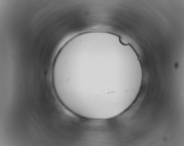 X0000100411486200807032026