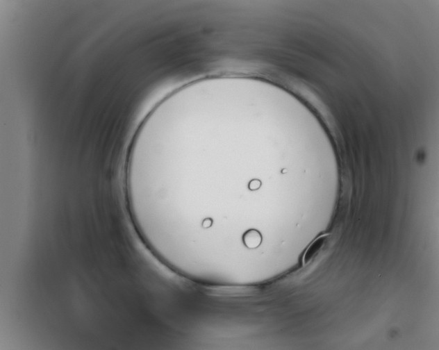 X0000100411487200807032026