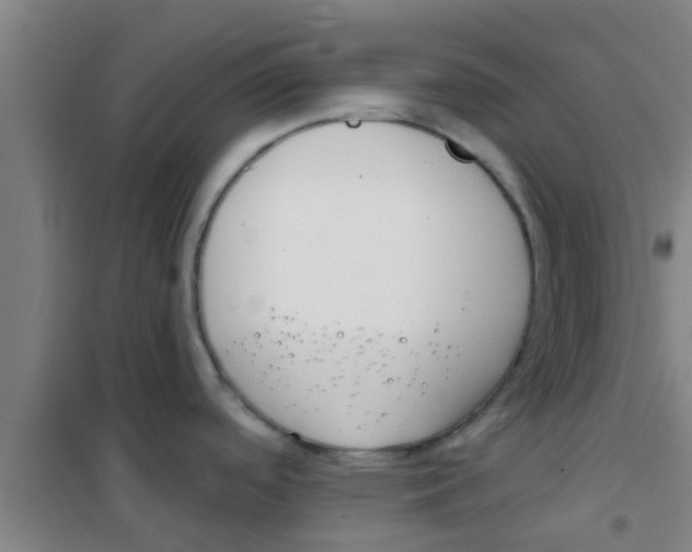 X0000100411488200807032026