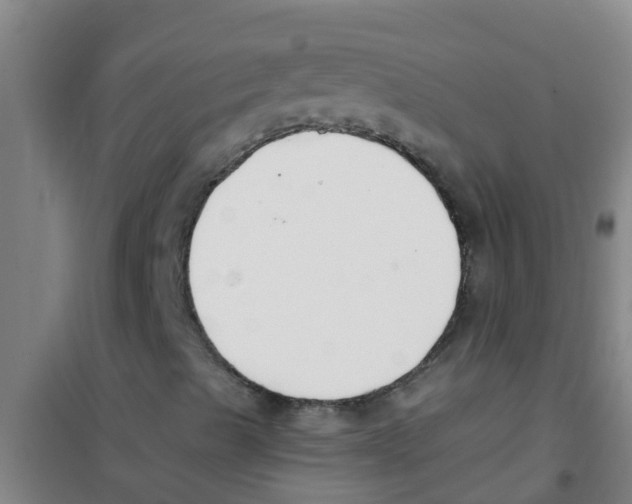 X0000100411489200807032025