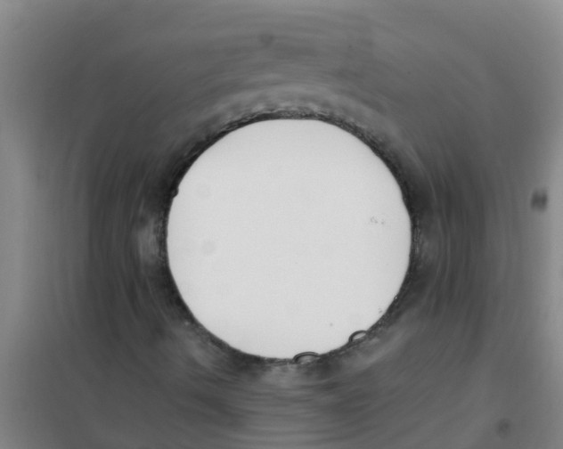 X0000100411490200807032025