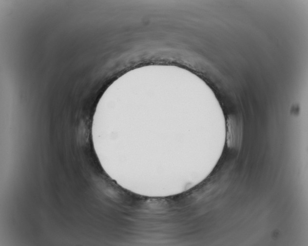 X0000100411491200807032025