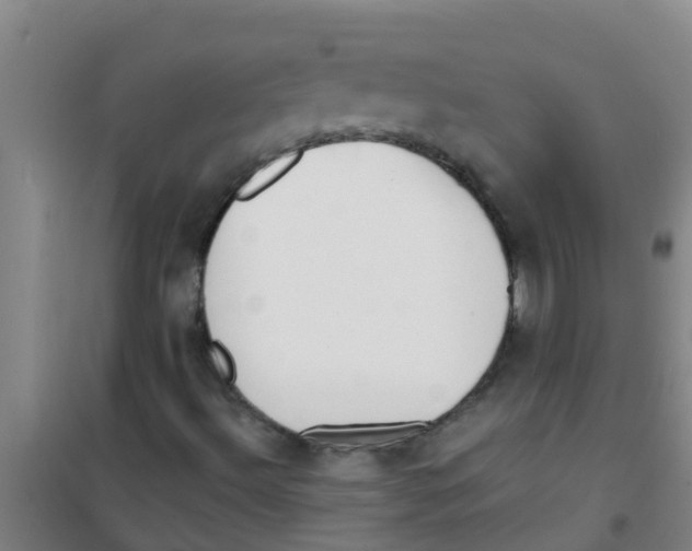 X0000100411492200807032025