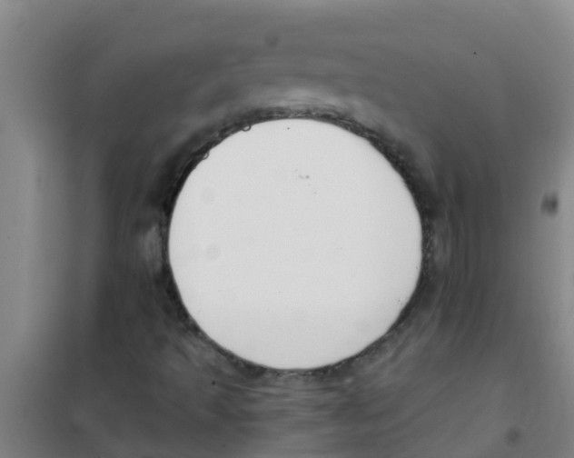 X0000100411493200807032025