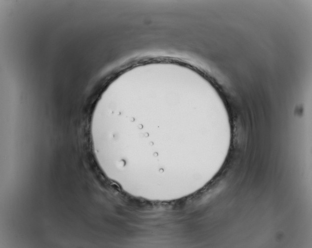 X0000100411494200807032025