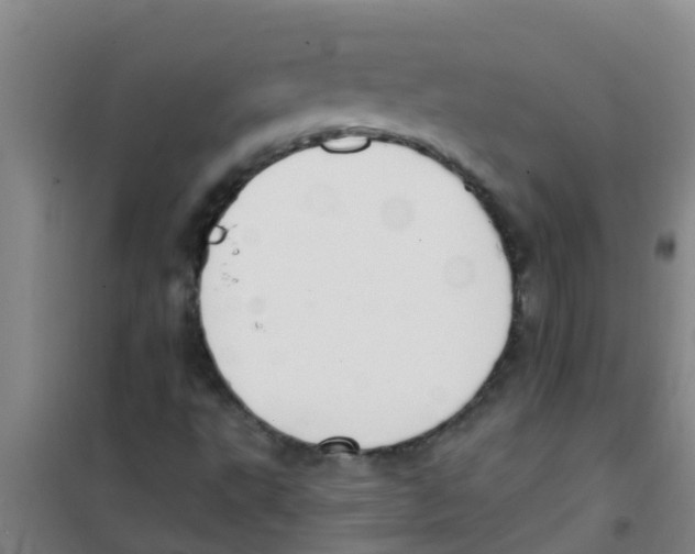 X0000100411495200807032025