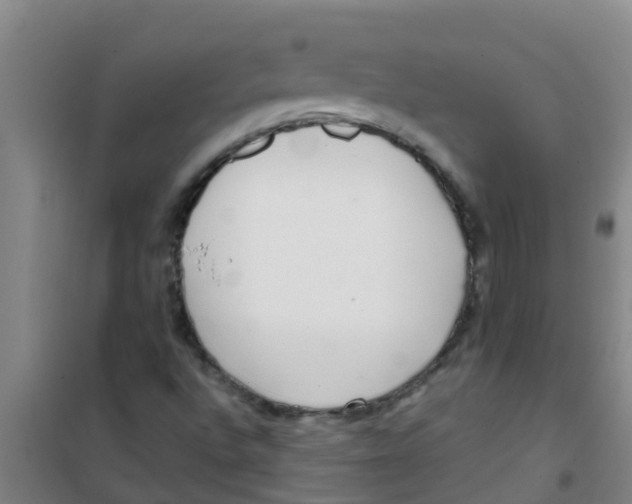 X0000100411496200807032025