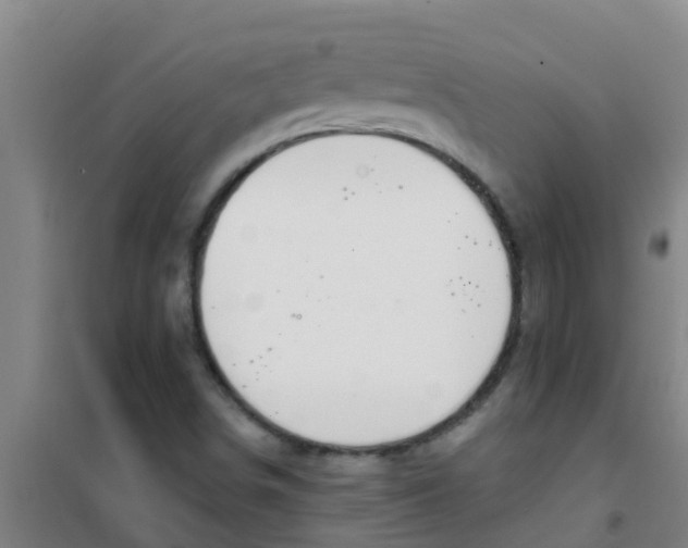 X0000100411498200807032025