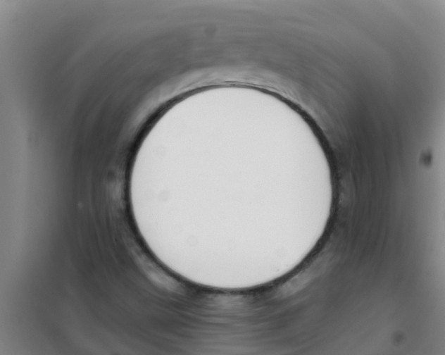 X0000100411499200807032025