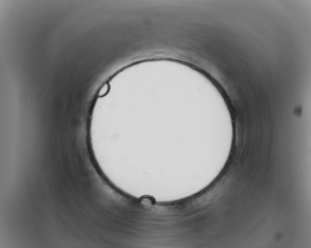 X0000100411500200807032025