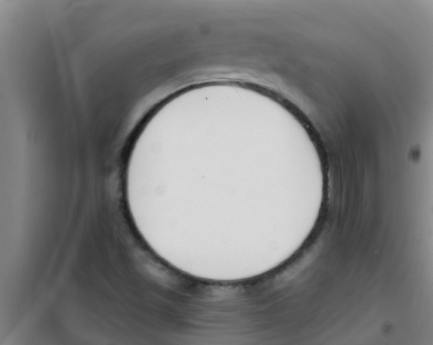 X0000100411501200807032025