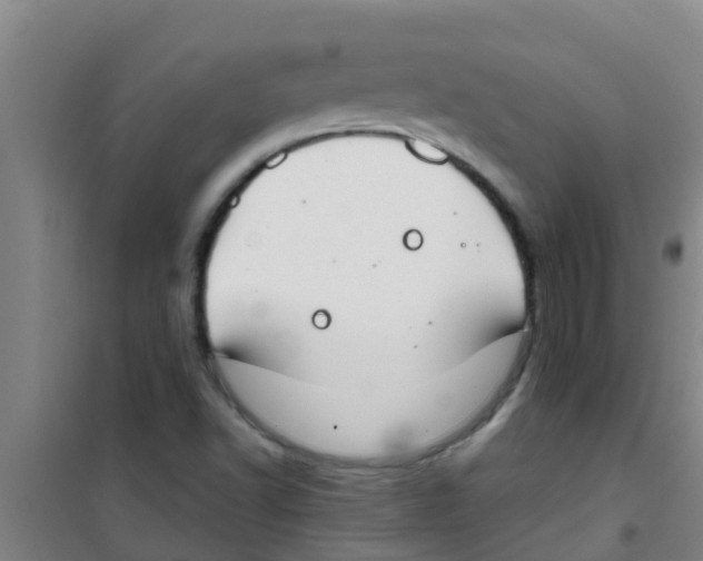 X0000100411502200807032025