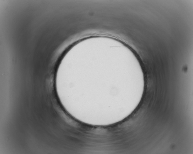 X0000100411503200807032025