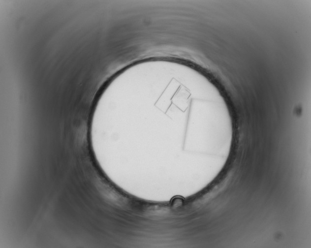 X0000100411505200807032025